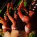 4 hula dancers